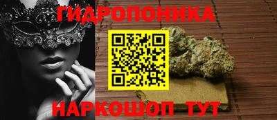 PSILOCYBIN Малгобек