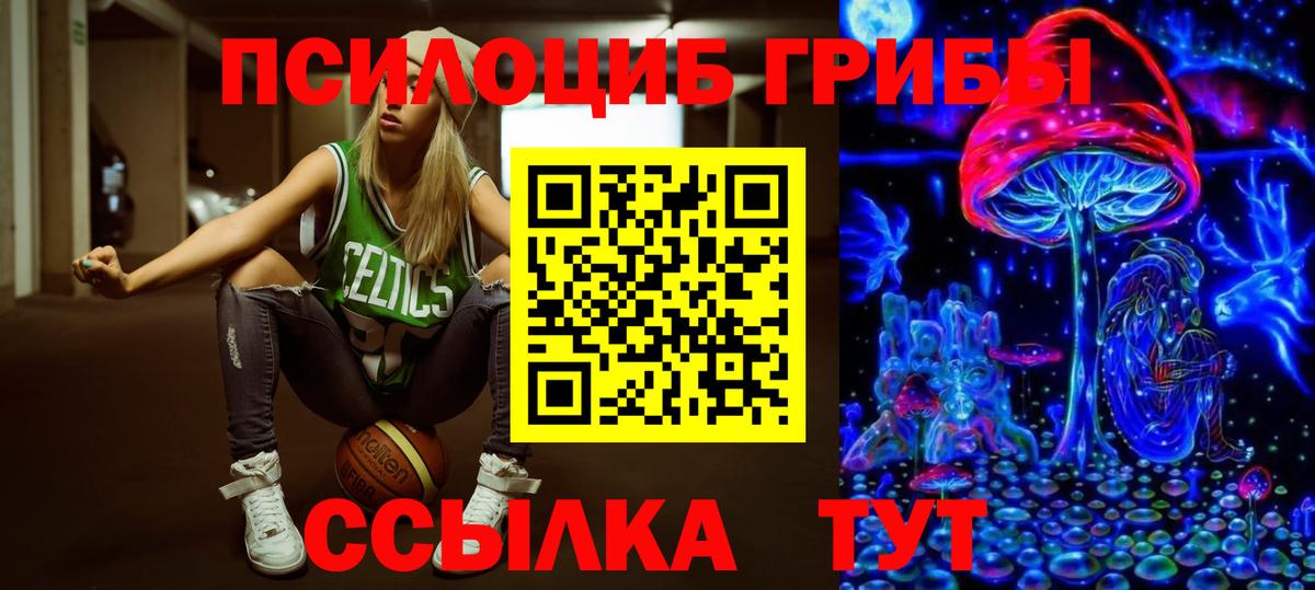 даркнет сайт  Шали  Галлюциногенные грибы мухоморы 