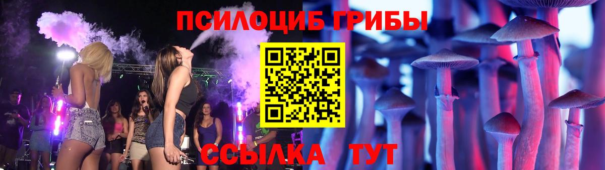 Галлюциногенные грибы Psilocybine cubensis Шали